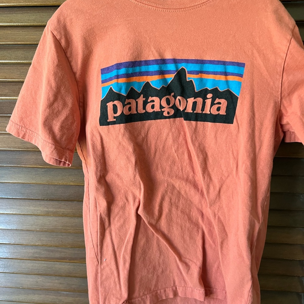 Orange Patagonia Tee